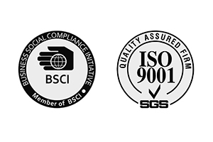 BSCI/ISO9001