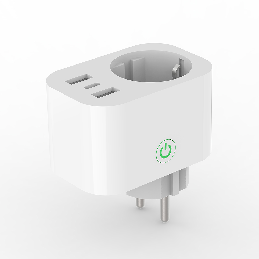 WiFi Smart GE Plug with Type C (RSH-WS045)