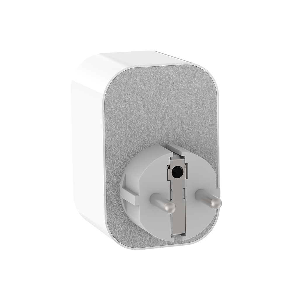 WiFi Smart GE Plug with Type C (RSH-WS045)