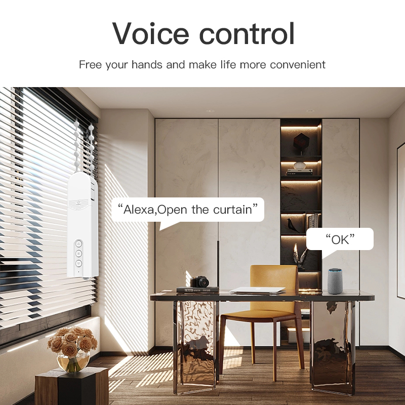 WiFi/BLE/ZigBee Optional Smart Blinds Motor RSH-MC20/21/22/23